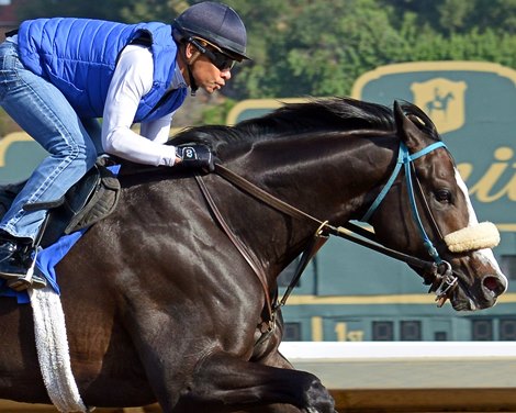 Honor A. P. - Morning - Santa Anita Park - 022320