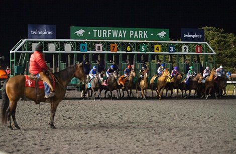 Race 6, start. Turfway Park facility and racing scenes on Feb. 15, 2020 Turfway Park in Florence, KY.