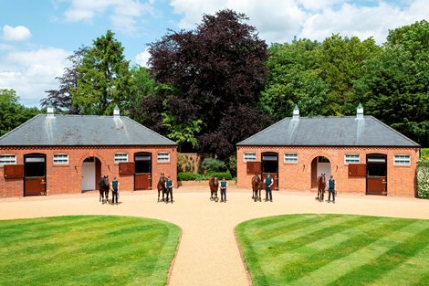 Juddmonte's five stallions (left to right): Bated Breath, Oasis Dream, Frankel, Kingman and Expert Eye