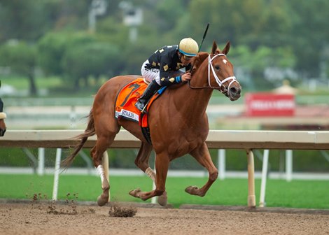 Bo Hirsch&#39;s Ce Ce and jockey Victor Espinoza win the Beholder Mile at Santa Anita Park