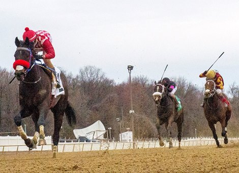 Lebda wins 2020 Private Terms Stakes at Laurel Park