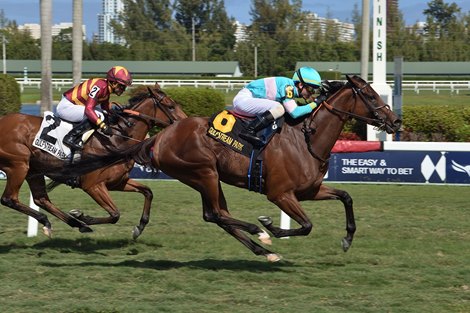 La Signare wins the 2020 Sand Springs Stakes at Gulfstream Park             