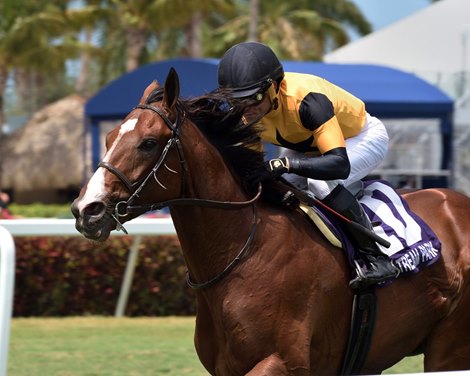 Decorated Invader wins the 2020 Cutler Bay Stakes at Gulfstream Park                      