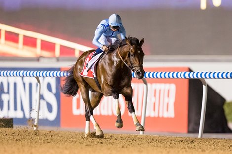 Matterhorn (Salem bin Ghadayer – Mickael Barzalona) wins the Al Maktoum Challenge R3 Sponsored By Emirates Airline at the tenth Dubai World Cup Carnival meeting on March 7, 2020