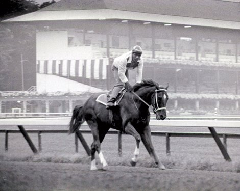 Secretariat at Saratoga 1973