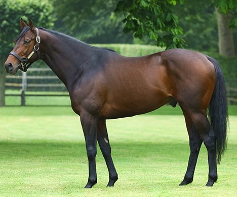 Almanzor