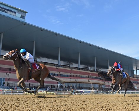 Crimson Frost and jockey Manuel Franco win the Heavenly Prize Invitational Stakes March, 8, 2020 at Aqueduct Racetrack