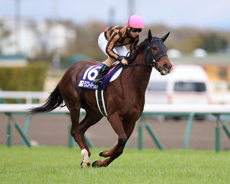 Mozu Superflare wins 2020 Takamatsunomiya Kinen