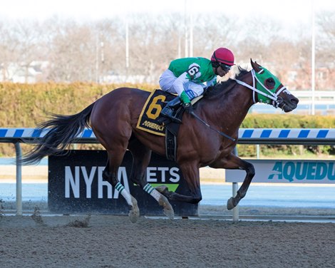 Diamond King wins the 2020 Stymie Stakes at Aqueduct.