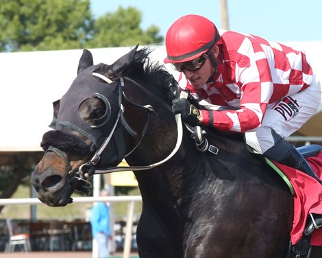 Scott Stevens - 5,000th Career Win - Turf Paradise - 030920