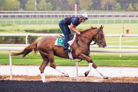 United - Morning - Meydan Racecourse