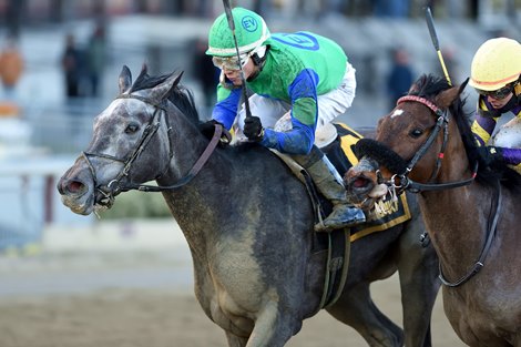 Water White wins the 2020 Busher Stakes at Aqueduct                      