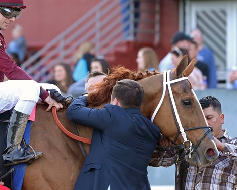 Whitmore wins 2020 Hot Springs Stakes at Oaklawn Park