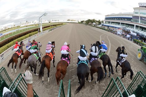 Tiz the Law wins 2020 Florida Derby at Gulfstream Park