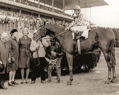 Secretariat after the Bay Shore Stakes in 1973