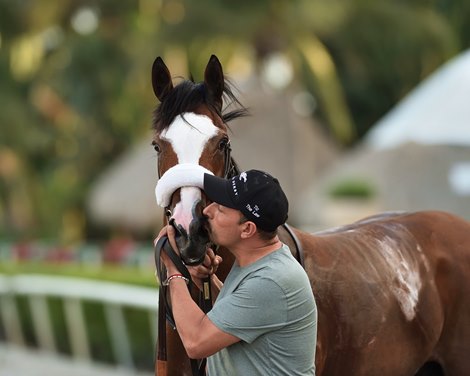 Tiz the Law and groom Juan Barajas Saldana after winning the 2020 Florida Derby at Gulfstream Park