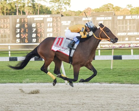 King Guillermo wins 2020 Tampa Bay Derby