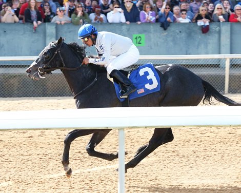 Liam&#39;s Pride wins 2020 Maiden at Oaklawn Park