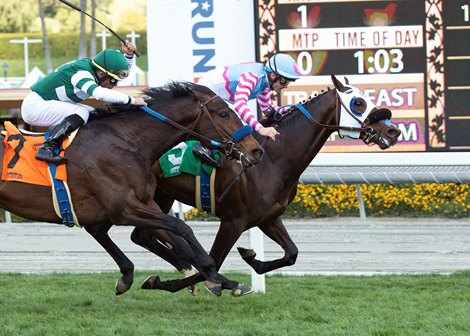 Goalie wins 2020 Maiden at Santa Anita Park