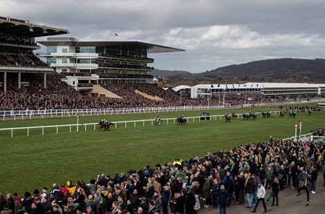 Sire Du Berlais and Barry Geraghty wins the Pertemps Network Final Handicap Hurdle at the Cheltenham Festival  