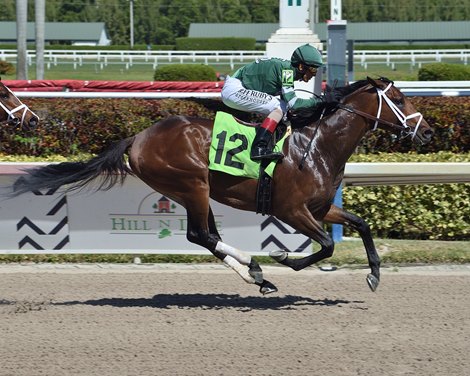 Dr Post wins a maiden special weight Sunday, March 29, 2020 at Gulfstream Park