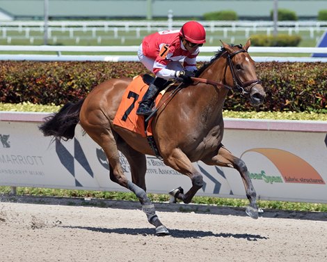 Center Aisle wins 2020 Maiden at Gulfstream Park