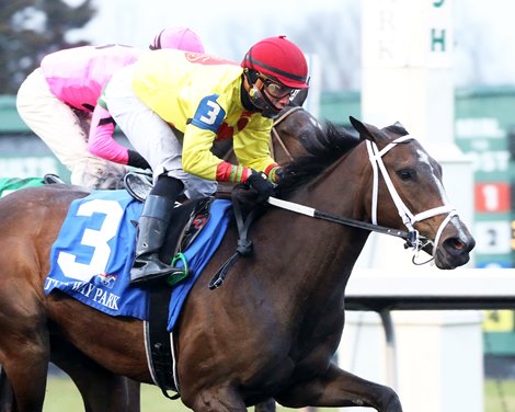 Queen of God wins 2020 Maxim Crane Works Bourbonette Oaks at Turfway Park