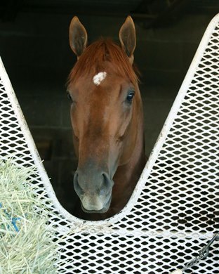 Charlatan - Oaklawn Park - 043020