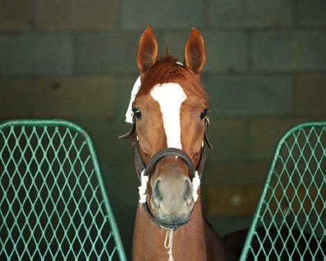 Lake Avenue - Arrival - Oaklawn Park - 042920