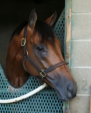 Chess Chief - Headshot - Oaklawn Park - 042820<br>
