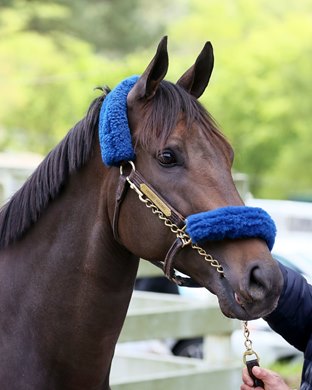 Flagstaff - Oaklawn Park - 041420