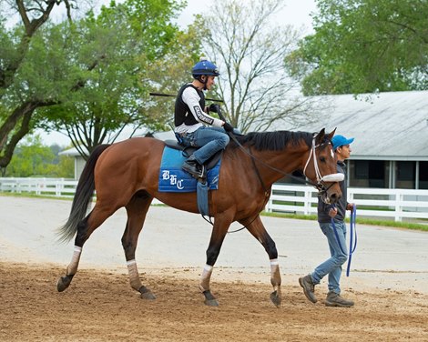 Owendale with Mario Garcia<br><br />
Keeneland scenes and horses on April 25, 2020 Keeneland in Lexington, KY. 