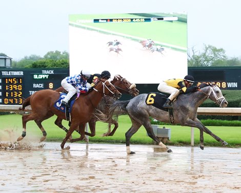 Finnick the Fierce wins 2020 Allowance at Oaklawn Park