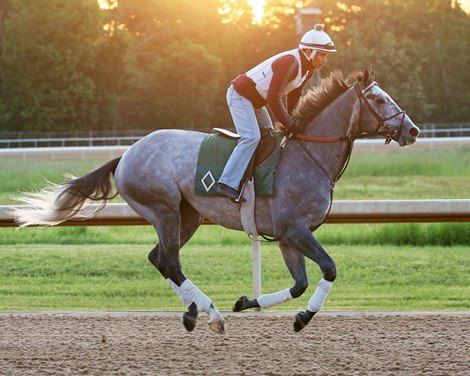 Tacitus- Gallop - Oaklawn Park - 043020