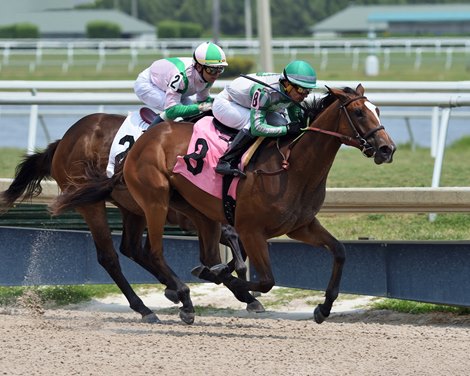 Quinoa Tifah - Maiden Win, Gulfstream Park, April 16, 2020              