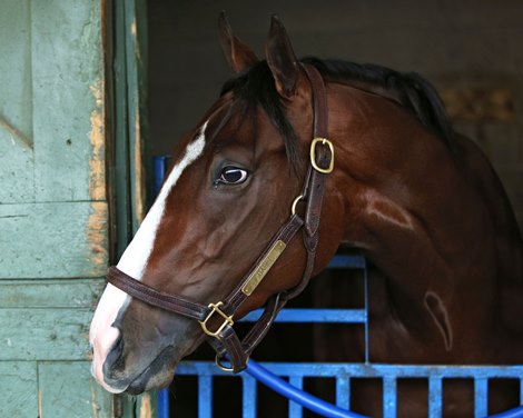 Basin - Morning - Oaklawn Park