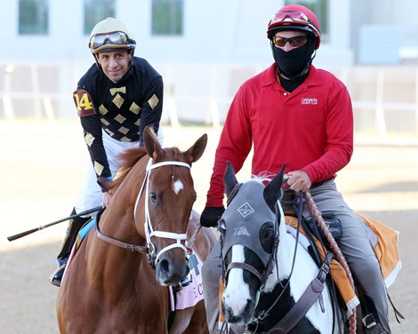 Ce Ce wins 2020 Apple Blossom Handicap at Oaklawn Park