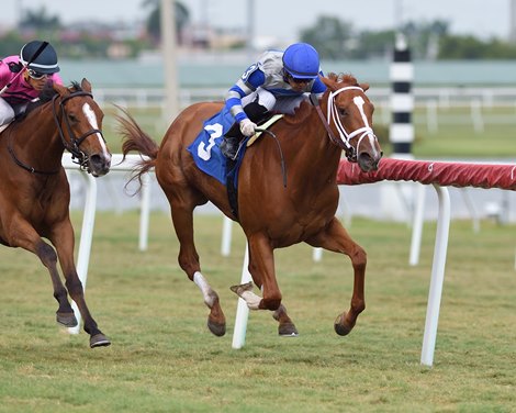 Eve of War - AOC, Gulfstream Park, April 24, 2020