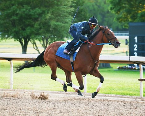 Mia Mischief - Morning - Oaklawn Park - 041120