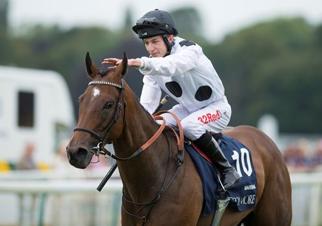 Marsha (Luke Morris) after the Nunthorpe at York