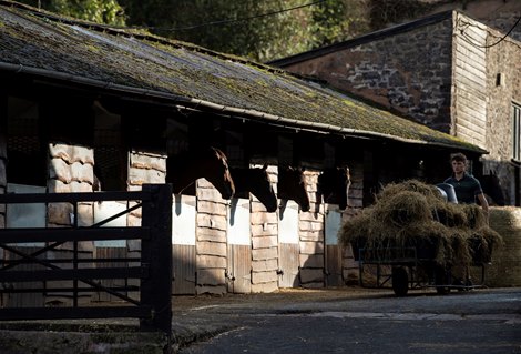 Evening stables at Philip Hobbs’s Sandhill racing yard at Billbrook