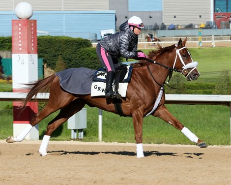 Point of Honor - Gallop - Oaklawn Park – 041620 Point of Honor - Gallop - Oaklawn Park – 041620