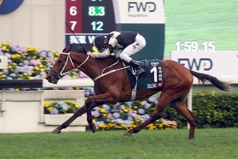 Exultant wins the FWD QEII Cup under Zac Purton