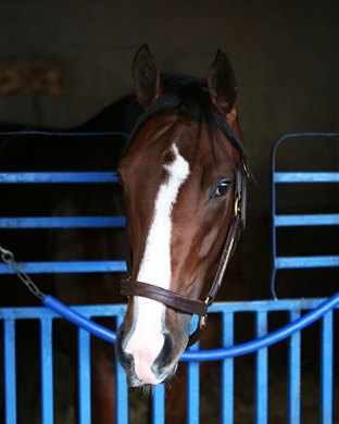 Basin - Morning - Oaklawn Park