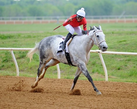 Welder wins the 2020 TRAO Classic Sprint