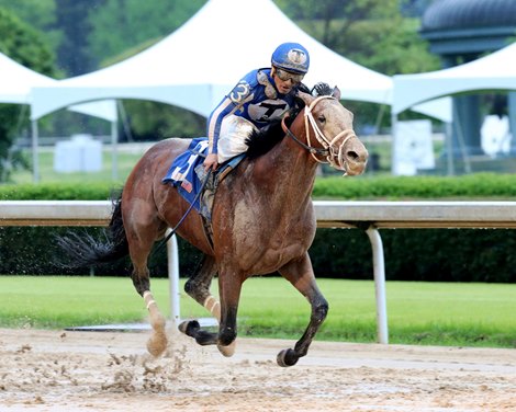 Mr. Big News wins 2020 Oaklawn Stakes at Oaklawn Park