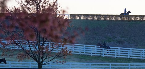 Horses training from the Rice Road barn area<br><br />
Behind the Scenes at Keeneland during Covid19 virus and the people, horses, and essentials needed to take care of race horses on April 2, 2020 Keeneland in Lexington, KY. 