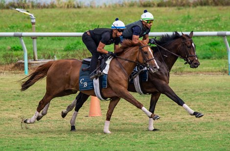 Uni (outside) and Rushing Fall - Palm Meadows - 040520