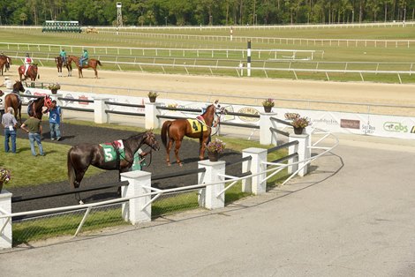 Scene at Tampa Bay Downs - April 2020