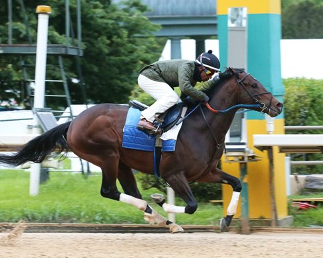 Echo Town - Work - 041320 - Oaklawn Park